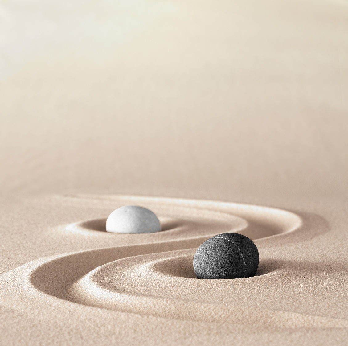 yin and Yang symbol of dualism in ancient Chinese philosophy where opposite or contrary forces are complementary