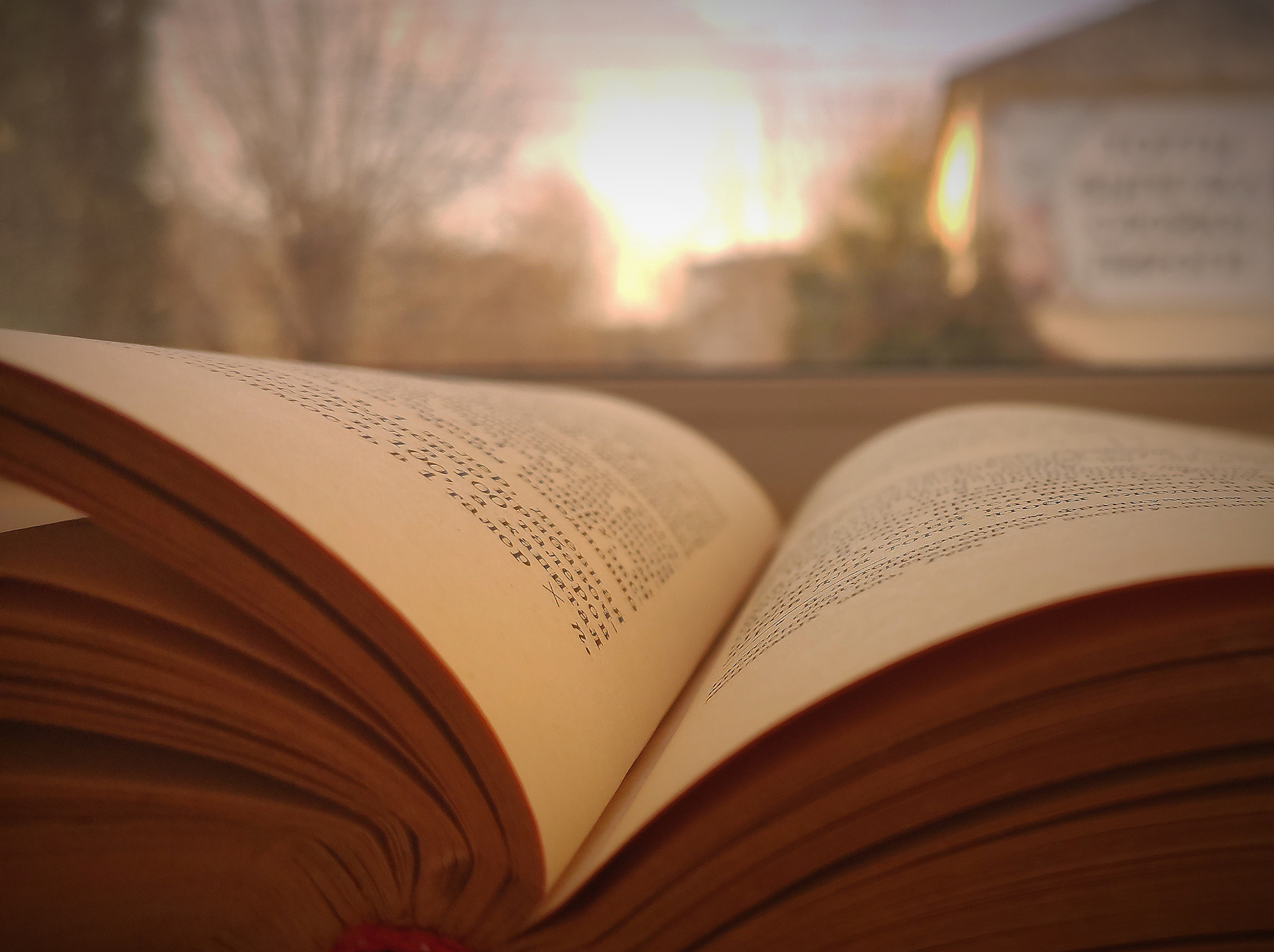 Book