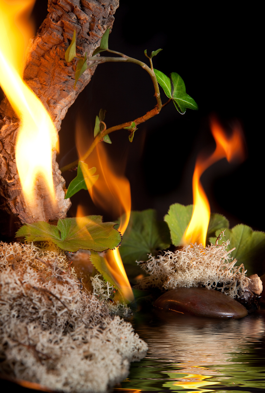 Four Elements